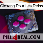 Ginseng For Kidney 02